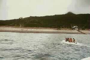 Image of littlebarrierislandbeachq.jpg