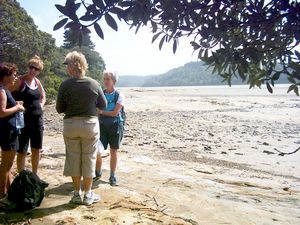 Image of longbay2004afternoontea.jpg