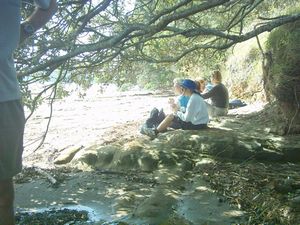 Image of longbay2004afternoontea2.jpg