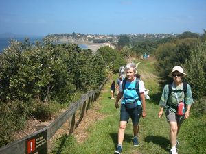 Image of longbay2004clifftoptrack.jpg