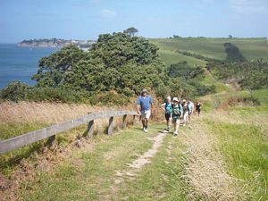 Image of longbay2004clifftoptrack3.jpg