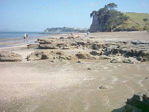 Image of longbay2004clifftoptrack4.jpg