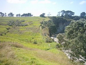 Image of longbay2004clifftoptracktowardspiripiripoint.jpg