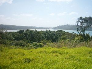 Image of longbay2004okurafrompiripiri.jpg