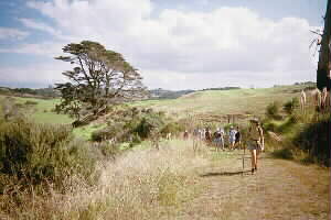 Image of longbayclimbq.jpg