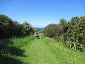 Image of longbaydec22i.jpg