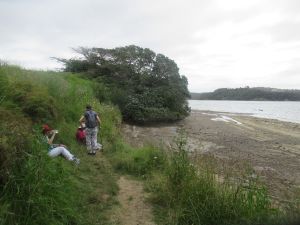 Image of longbaydec23e.jpg