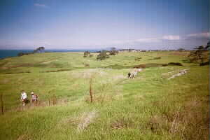 Image of longbaypaddocksq.jpg