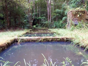 Image of luckatlastfeb19o.jpg