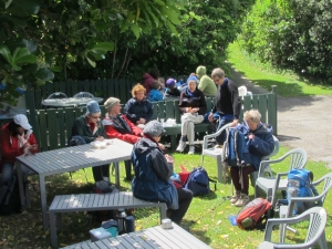 Image of lunchtimetiri13.jpg