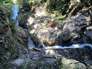 Image of mahurangiaapr12d.jpg