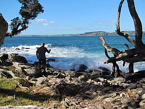 Image of mahurangiaapr12f.jpg