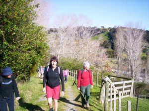 Image of mahurangiaug06aksettingoutuphill.jpg