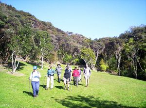 Image of mahurangiaug06amhorseshoebay.jpg