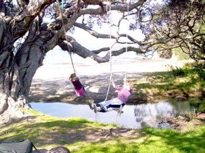 Image of mahurangiaug06axswings.jpg