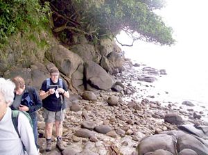 Image of mahurangiaug06bbcoast.jpg