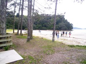 Image of mahurangiaug06bcsnellsbeach.jpg