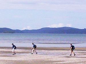 Image of mahurangiaug06bpsnellsbeach.jpg