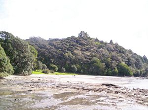 Image of mahurangiaug06buhorseshoebay.jpg