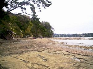 Image of mahurangiaug06cicoast.jpg