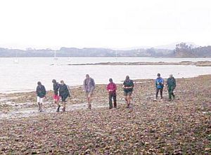 Image of mahurangiaug06clcoast.jpg