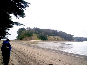 Image of mahurangiaug06cscasnellisland.jpg