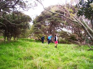 Image of mahurangiaug06cxisland.jpg