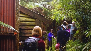 Image of mamaku16c.jpg