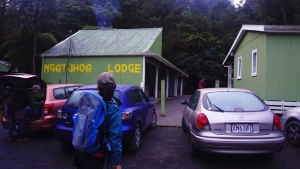 Image of mamaku16o.jpg