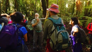 Image of mamaku16s.jpg