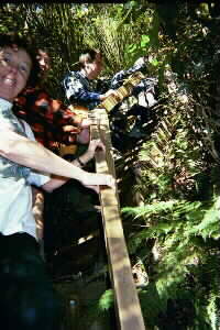 Image of mangatepopogorgetrackstepsq.jpg