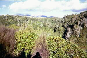 Image of mangatepopogorgeviewq.jpg