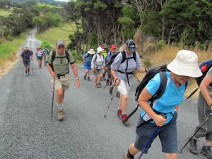 Image of mangawhai12a.jpg