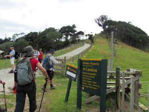 Image of mangawhai12c.jpg