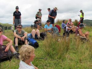 Image of mangawhai12d.jpg