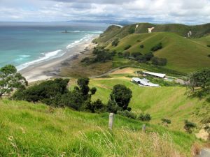 Image of mangawhai12k.jpg