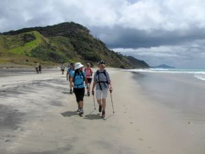 Image of mangawhai12l.jpg