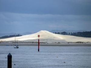 Image of mangawhai12n.jpg