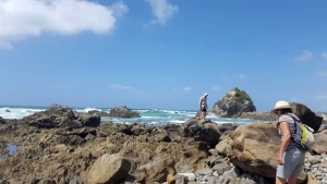 Image of mangawhaifeb18a.jpg