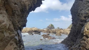 Image of mangawhaifeb18h.jpg