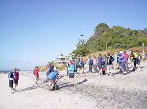 Image of mangawhaimay06ahstart.jpg