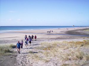 Image of mangawhaimay06ajendofbeach.jpg