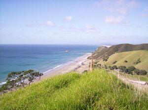 Image of mangawhaimay06anviewofcoast.jpg