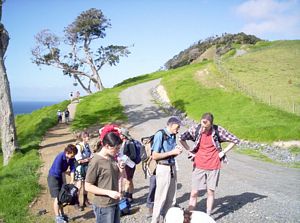 Image of mangawhaimay06apstartofroad.jpg