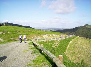 Image of mangawhaimay06aroad.jpg