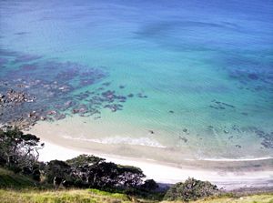 Image of mangawhaimay06blbeachfromclifftop.jpg