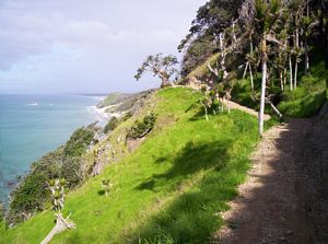 Image of mangawhaimay06bntrack.jpg