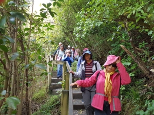 Image of mangemangeroajul19j.jpg