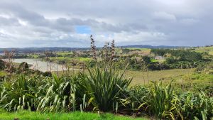 Image of mangemangeroajul23a.jpg