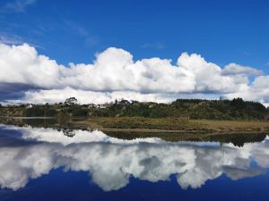 Image of mangemangeroajul23b.jpg